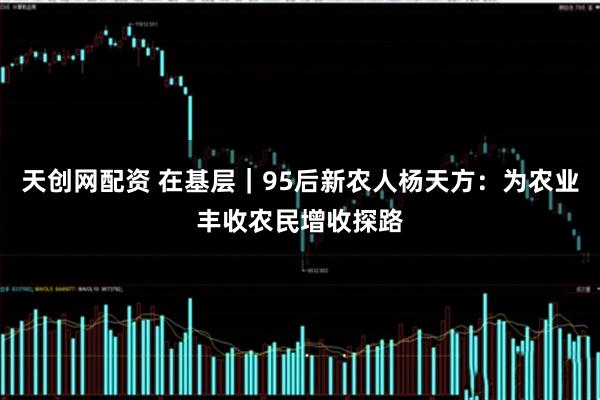 天创网配资 在基层｜95后新农人杨天方：为农业丰收农民增收探路